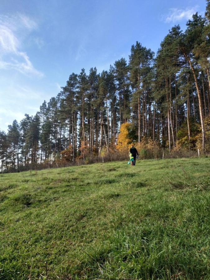Domki Nad Jeziorem - Zalesie 7D Exterior foto